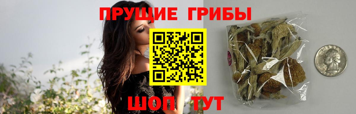 Псилоцибиновые грибы Psilocybine cubensis Еманжелинск